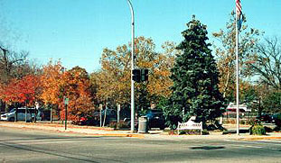 Picture of Village Parking Lot North Main Street